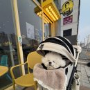 빽다방 평택동삭센트럴파크점 이미지