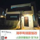 고례풀빌라앤펜션 | 동쪽 숙소 추천! 대가족 숙소로 딱이었던 독채펜션 서귀포 '스파 앤 풀빌라 정가네' 2박 후기(구좌/성산)