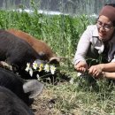 영화축산 이미지