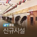 뉴모닝스파 이미지