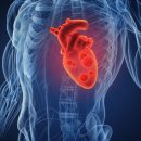 몸편한마취통증의학과의원 이미지