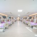 연세명인병원 네이버블로그
