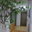 당진대동다숲@ 이미지