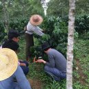 호코농장 이미지