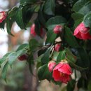 청마기념관 이미지