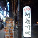 청춘가맥 이미지