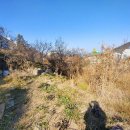 능포초등학교 병설유치원 이미지