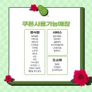 행운동-29 이미지