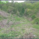 인안2리마을회관 이미지