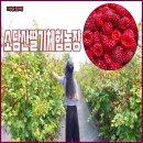 담산농장 네이버블로그