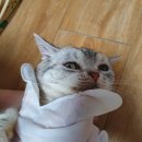 점례식품
