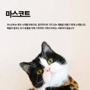 마곡의류