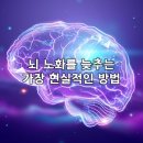 공동실험실습관 | 실내자전거 운동, 뇌 노화를 늦추는 가장 현실적인 방법일까?