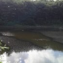 정천휴게소 이미지