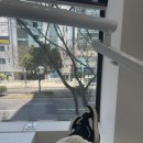 향기가있는치과의원 이미지