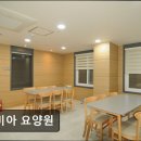 실비아 | [서울 마포구 요양원/추천/후기/가격] 실비아 요양원 서울 마포구 실비아 요양원, 전문적 서비스 제공