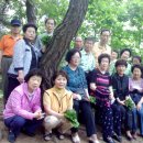 일직초교 이미지