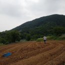 가치마루농장 이미지