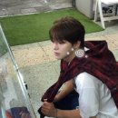 혜성필름 이미지