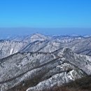 눈꽃이피다