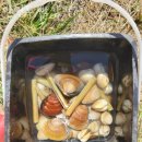 안면도 빨강펜션 | 태안갯벌체험 안면도 빨강펜션 맛조개철 해루질펜션 추천