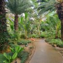 부천호수식물원 수피아 이미지