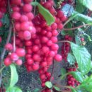 명화농장 이미지