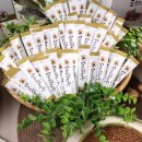 돼지와 건강 이미지