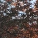 더위드치과의원 이미지