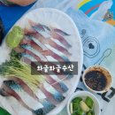 싱싱와글와글 이미지