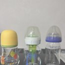 벌떡 수유점 | [육아일기] 새벽 수유셔틀기사의 눈물겨운 유리 젖병 3종 비교 후기 (더블하트 / 닥터브라운 / 란시노)
