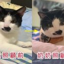 할머니집 이미지