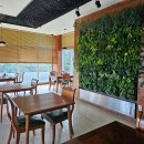 파라디조 이미지