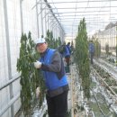 월성농장 이미지