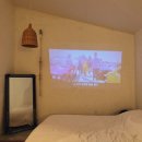 스테이조제 이미지