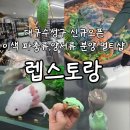 아성슈퍼 | 대구 수성구 신규 오픈 이색 파충류 양서류 분양 전문 멀티샵 렙스토랑