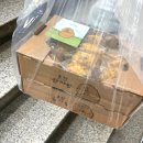 감자밭 | [강원/춘천] 대형카페 감자밭 주말방문 후기