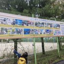 상대 초등학교 병설 유치원 이미지