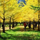 풍경힐링 이미지