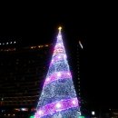 서울시청 앞 크리스마스트리 이미지