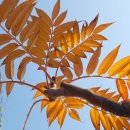 성남시청내 이미지