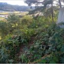 청일파출소 이미지