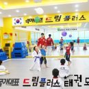 국가대표 드림플러스 태권도 이미지