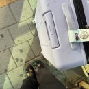 (주)씨씨브이게임즈 | 지나간 고통의 달 - 5월 (may 7 - june 1 2025)