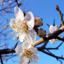 가야산아래 이미지