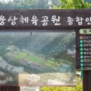 웅상체육공원 족구장 이미지