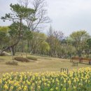 예다향 - 고양시 덕양구 서정마을2로7번길 19 | 예다향
