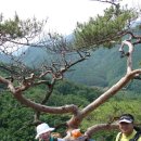 한국의 100대 명산인 도락산(964m) 등산 후기 (2018. 06. 05.) 이미지