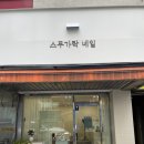 경기도 수원시 장안구 수성로245번길 정자천로188번길 | 수원 네일샵 스무가락네일 정자동 젤네일 봄 핑크 원컬러 후기