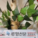 독도는 우리땅 | 독도는 우리땅 행사 후기